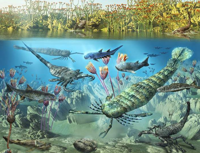 地球46亿年沧桑 五次生物大灭绝之下，人类如何能“主宰”地球？