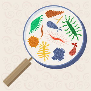 Seamlessbacteria与病毒模式 生物界的隐秘对抗